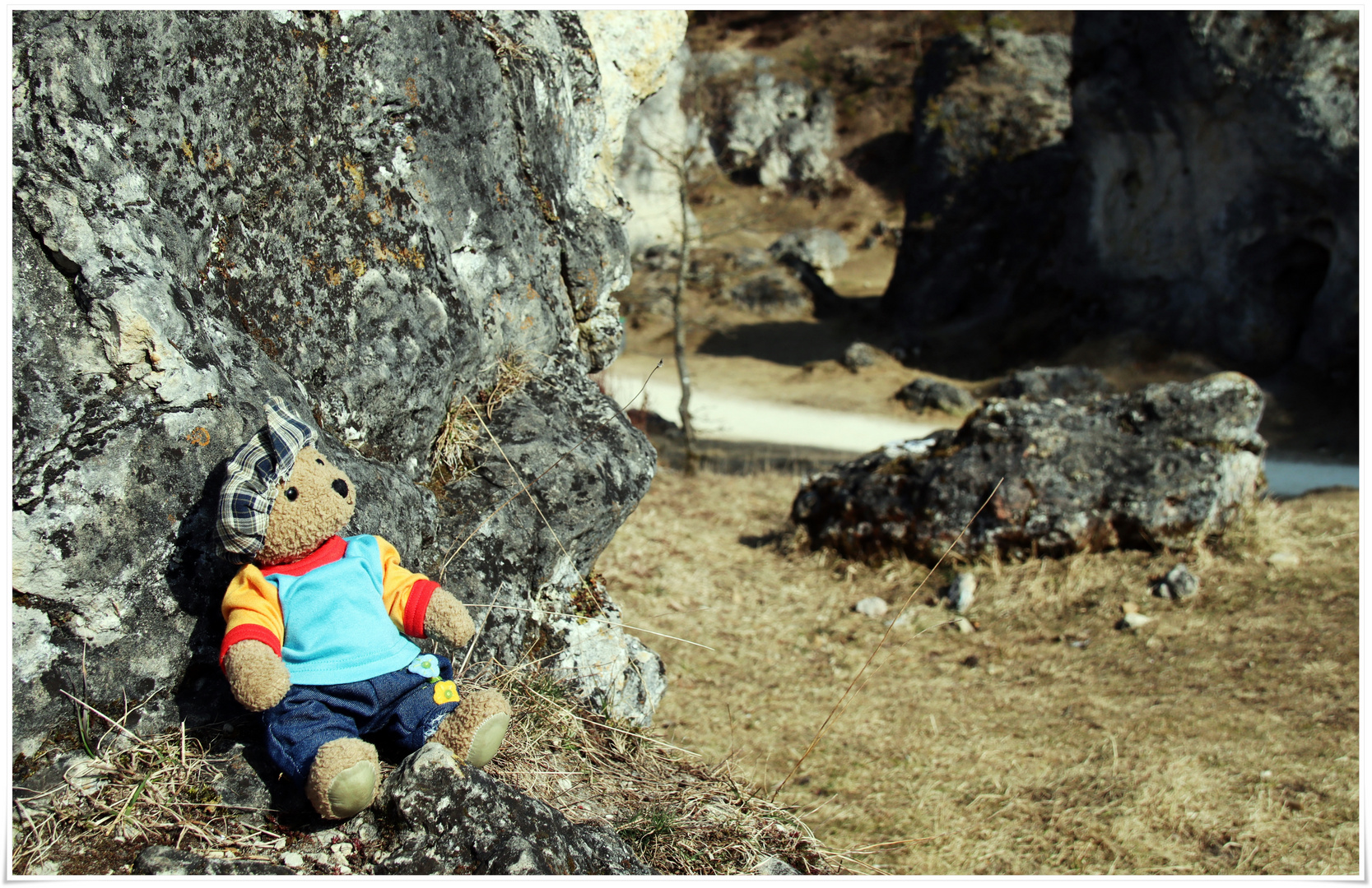 Ludwig im Felsenmeer