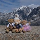 Ludwig, Luise und Karli auf dem Passo Stelvio 2752m