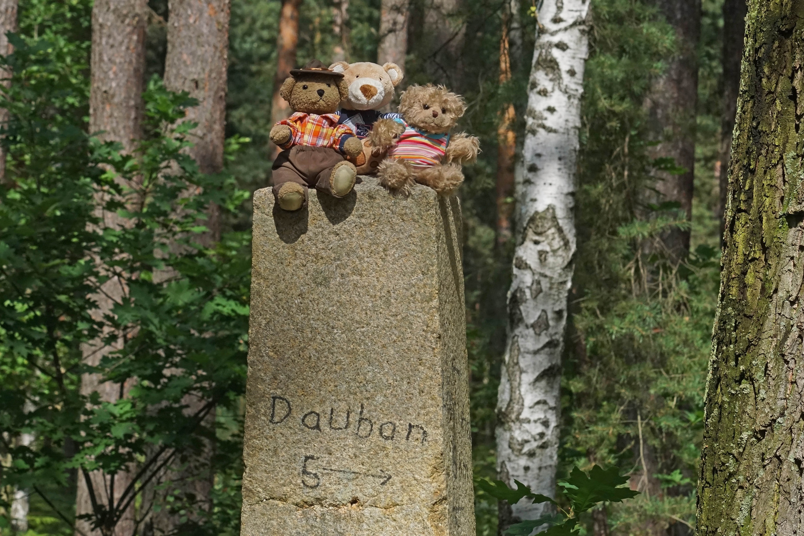 Ludwig, Luise und Karli auf dem Wackelstein