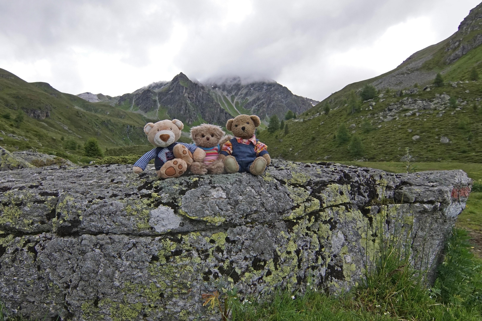 Ludwig, Luise und Karli auf der Alp