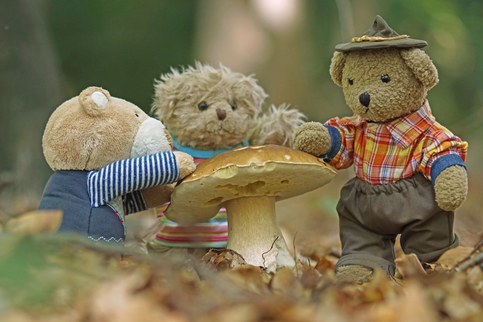 Ludwig, Luise und Karli beim König der Pilze