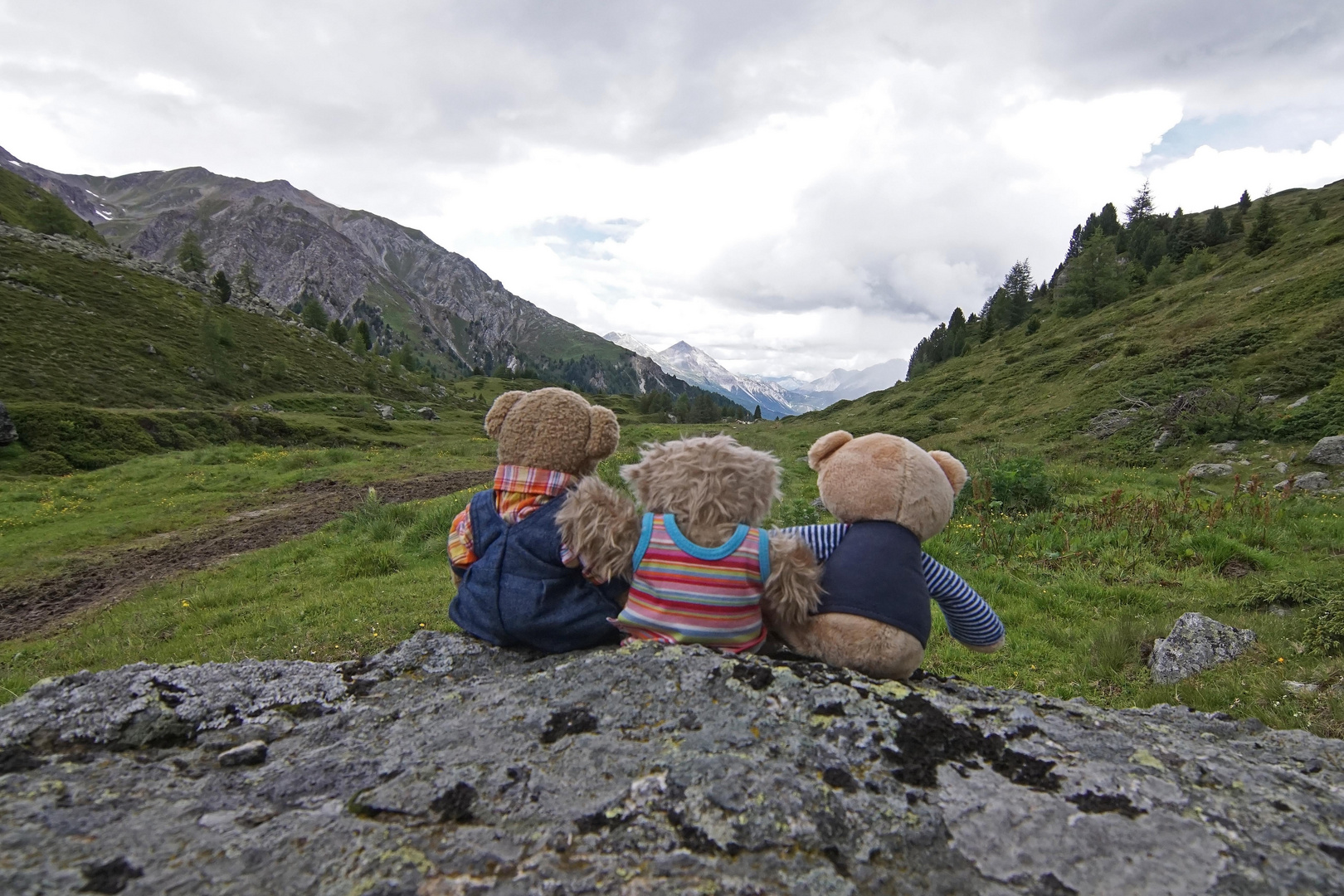 Ludwig, Luise und Karli genießen nochmal die Aussicht