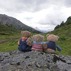 Ludwig, Luise und Karli genießen nochmal die Aussicht