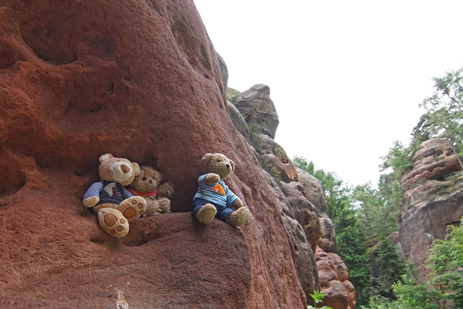 Ludwig, Luise und Karli im Zittauer Gebirge