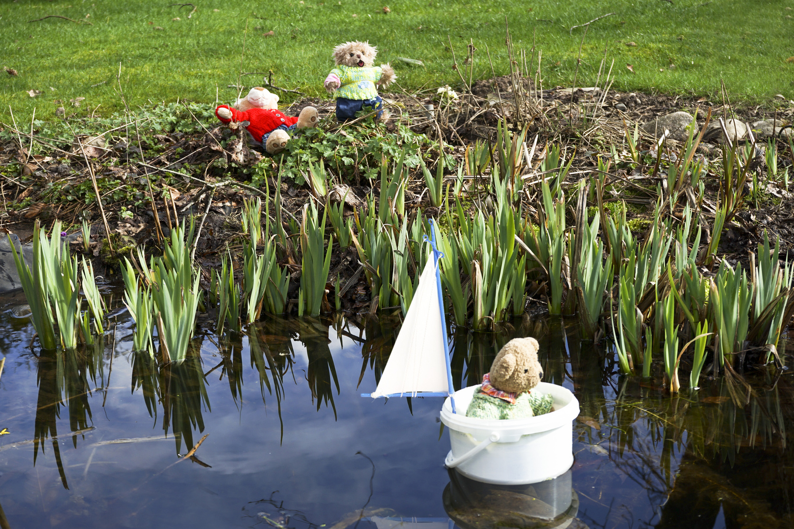 Ludwig macht eine Reise über den Gartenteich