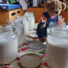 Ludwig macht Joghurt