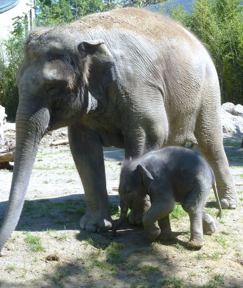 Ludwig mit seiner Mutter