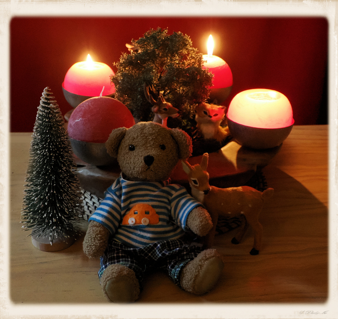 Ludwig wünscht auch einen schönen 3. Advent …