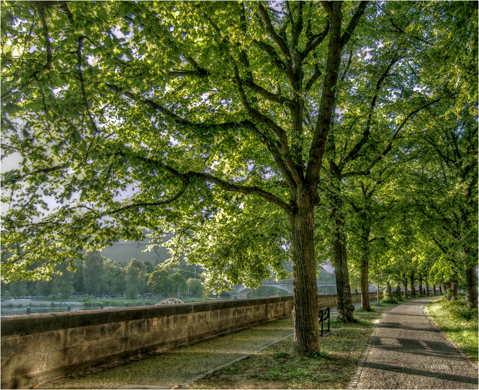 Ludwigkai in Würzburg