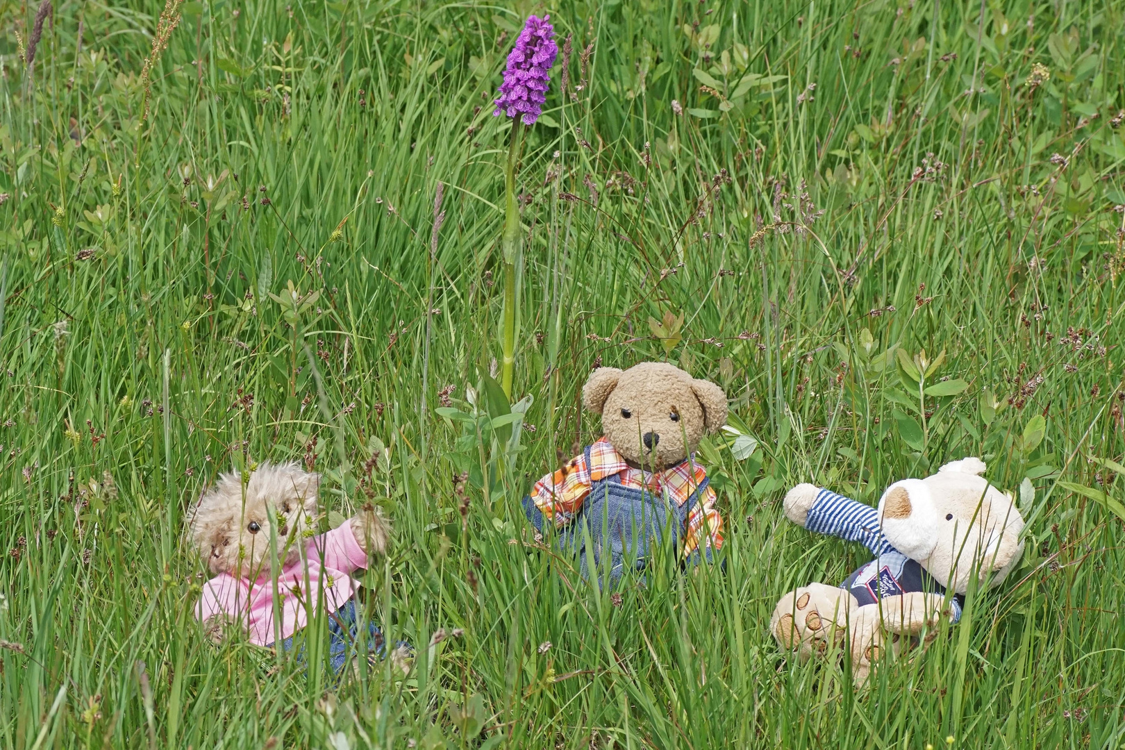 Ludwig,Luise und Karli bei den Orchideen