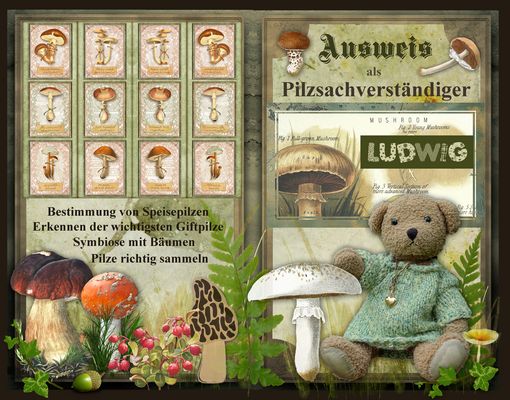 Ludwigs neuer Ausweis ...