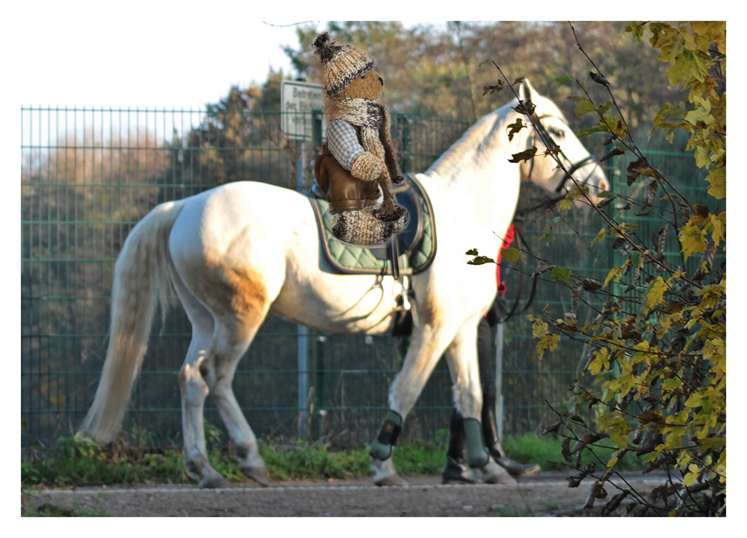 Ludwigs Reitstunde