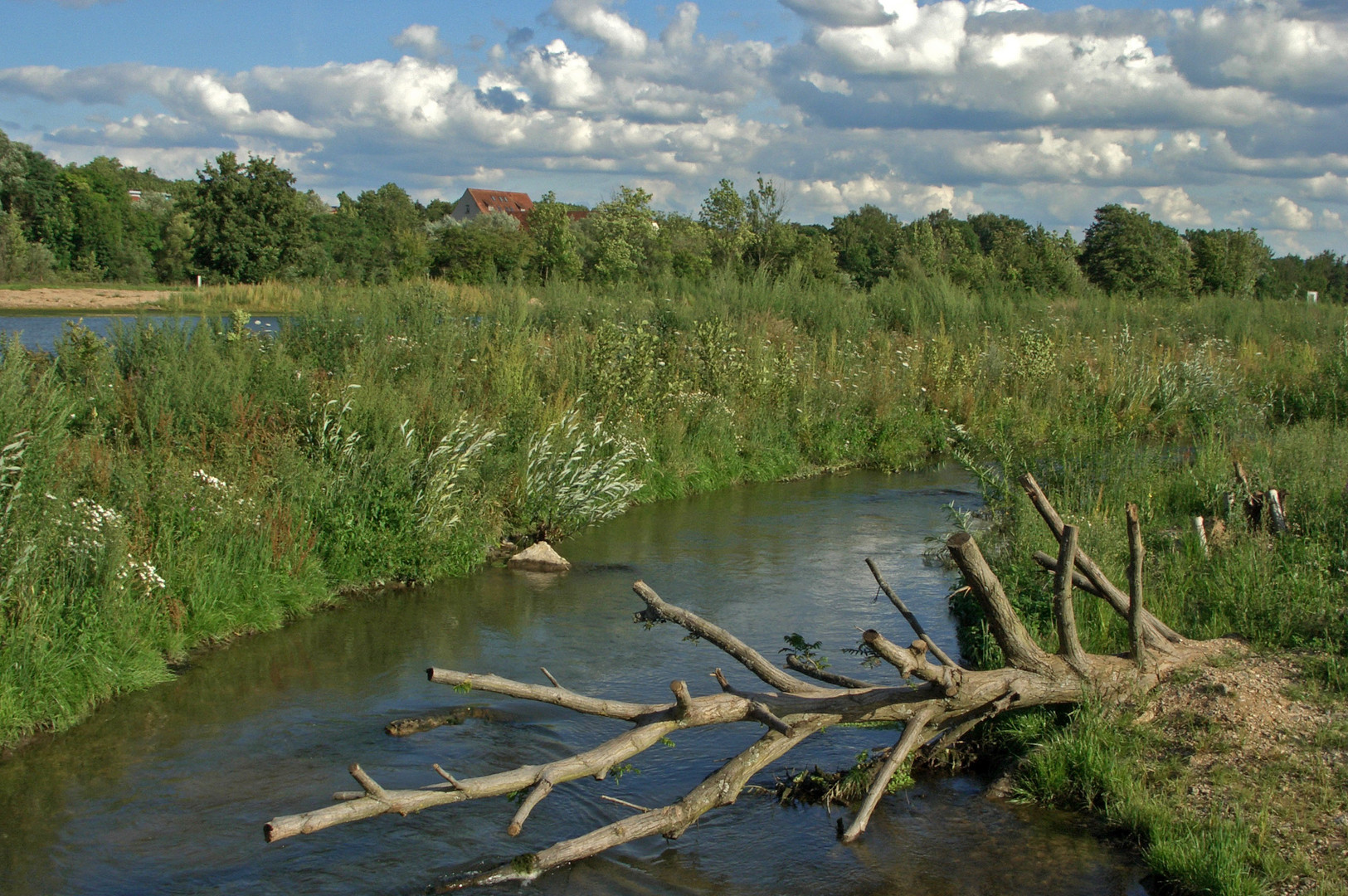 Ludwigsburg Zugwiesen 1