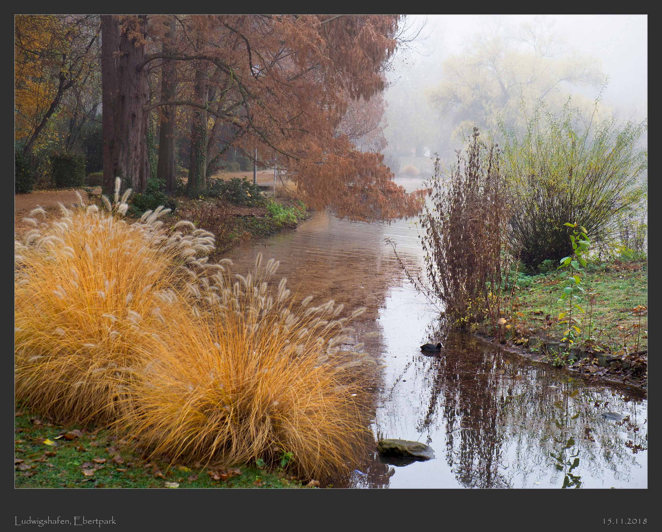 Ludwigshafen, Ebertpark