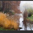 Ludwigshafen, Ebertpark