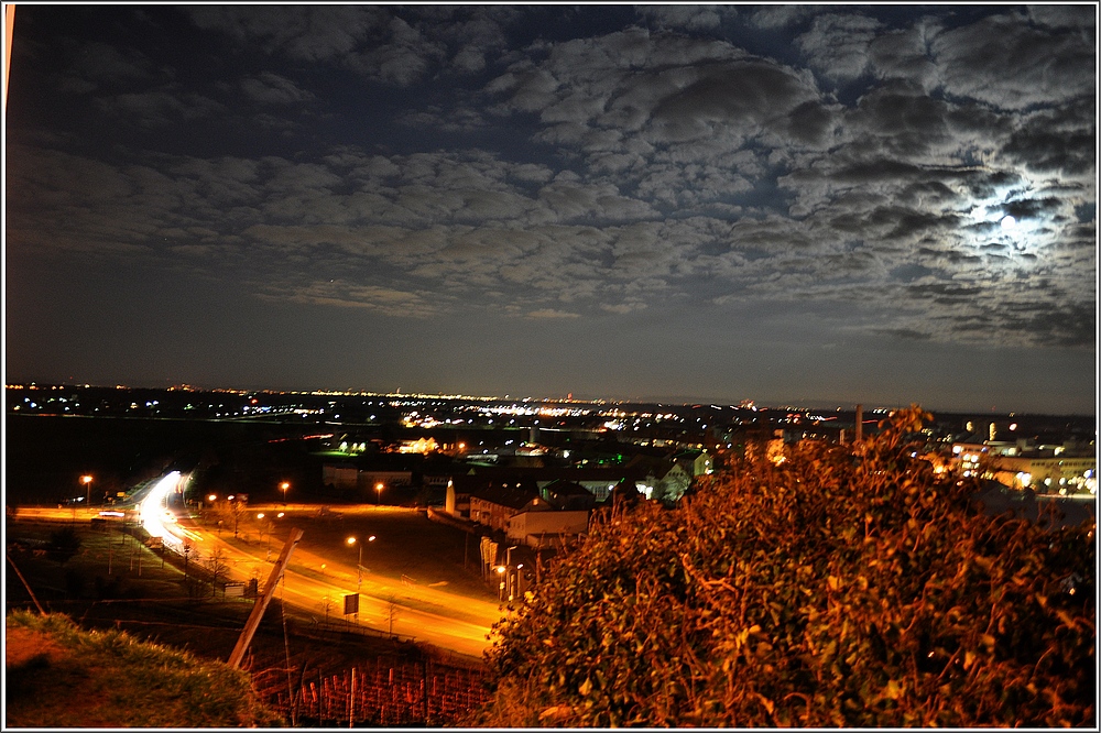 Ludwigshafener Skyline bei Nacht