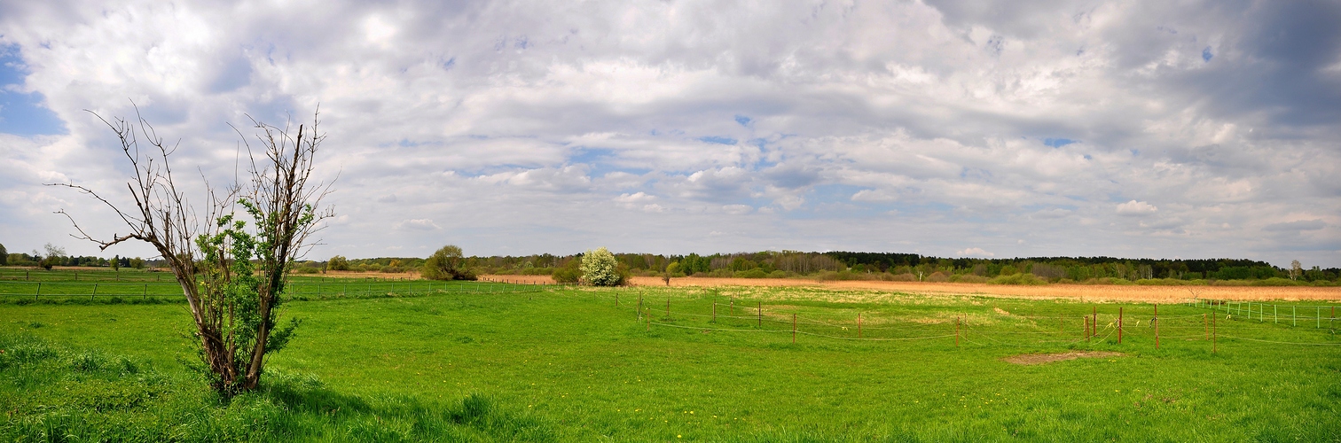 Lübars an den Pferdekoppeln........ Panorama