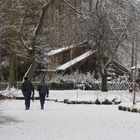 Lübbenau im Winter