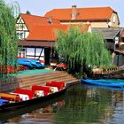 Lübbenau (Spreewald)