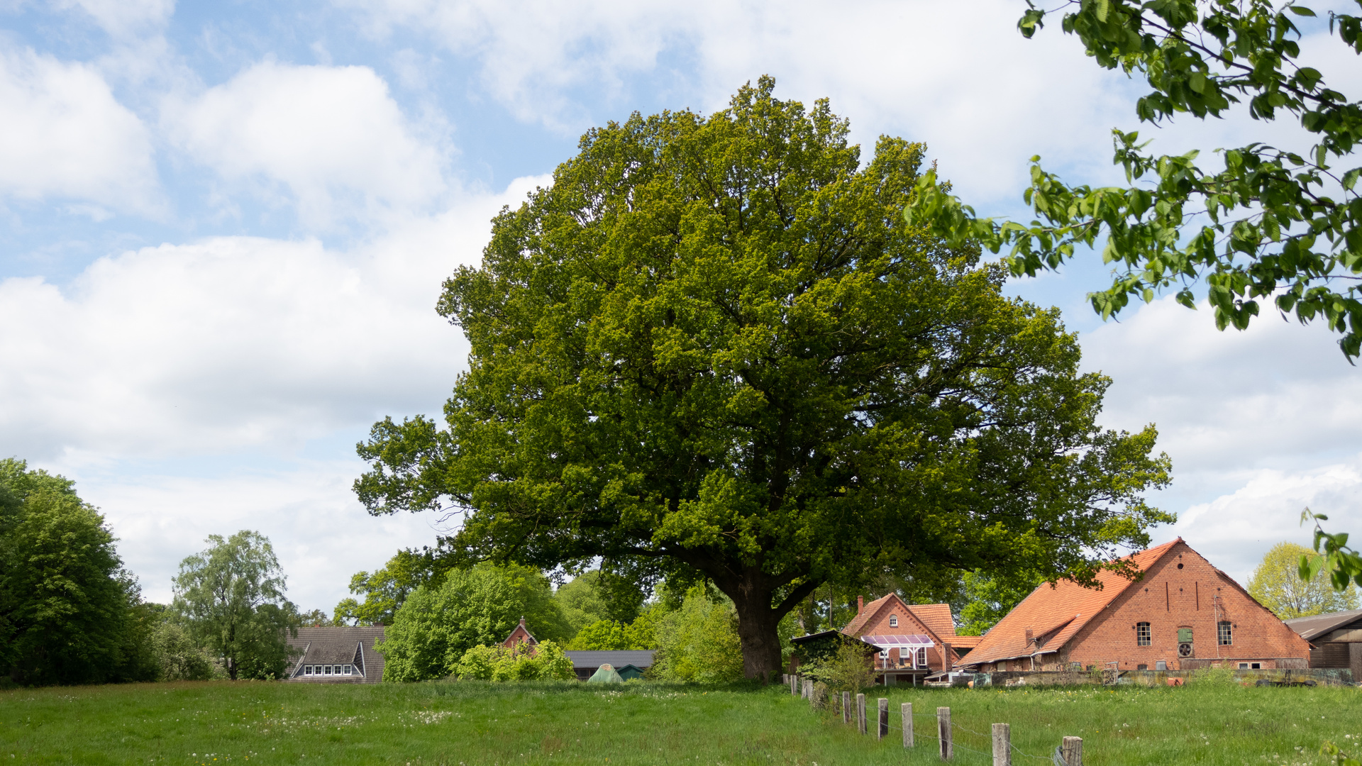 Lübberstedt Farbe