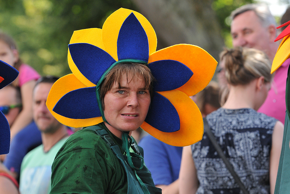 Lübeck: Drachenboot – Festival 55