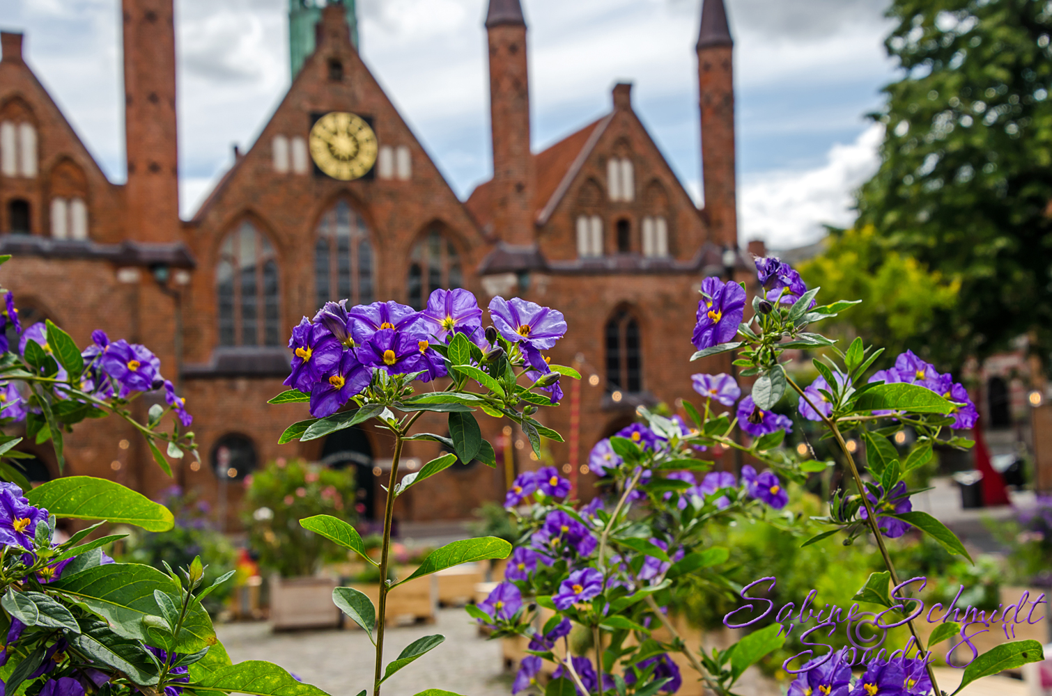 Lübecker Kulturgarten