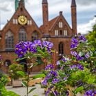 Lübecker Kulturgarten