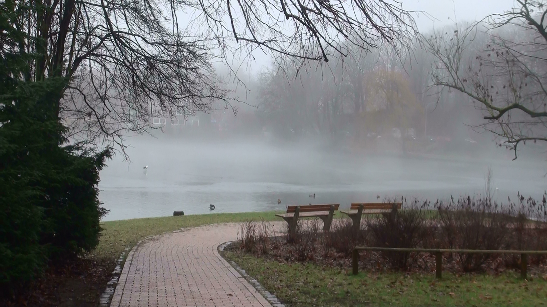 Lübecker Nebel 2
