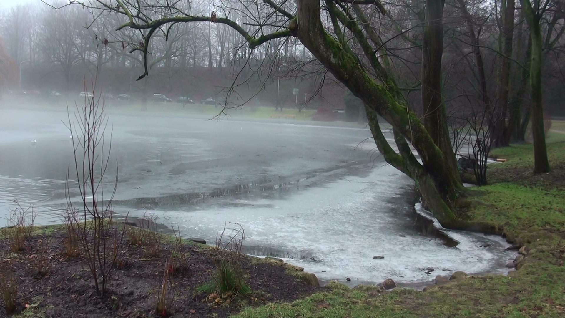 Lübecker Nebel 4