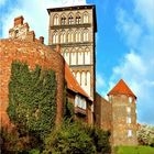 Lübecker Stadtmauer + Burgtor