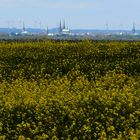 Lübecks Türme von Osten - Hintergrund: Windräder