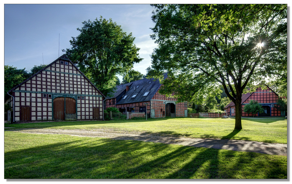 Lübeln im Gegenlicht