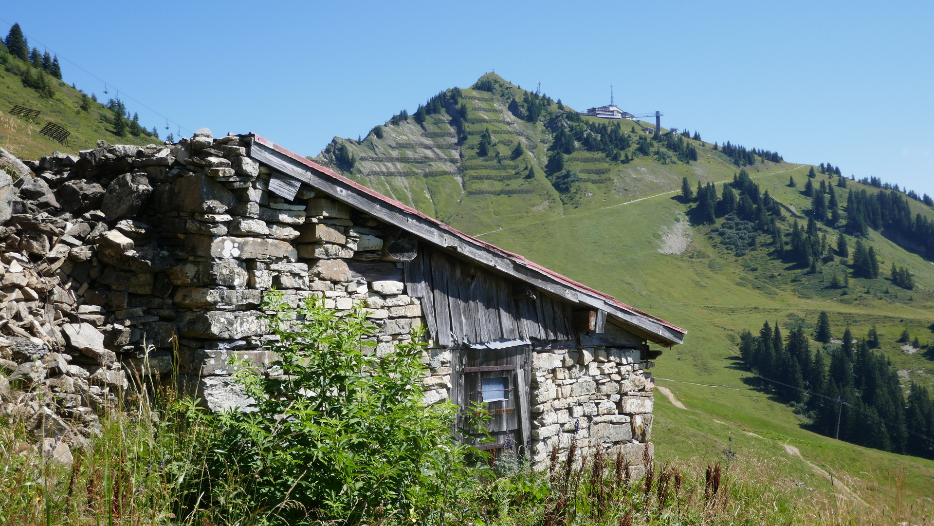 Lüchelalpe unterm Walmendingerhorn