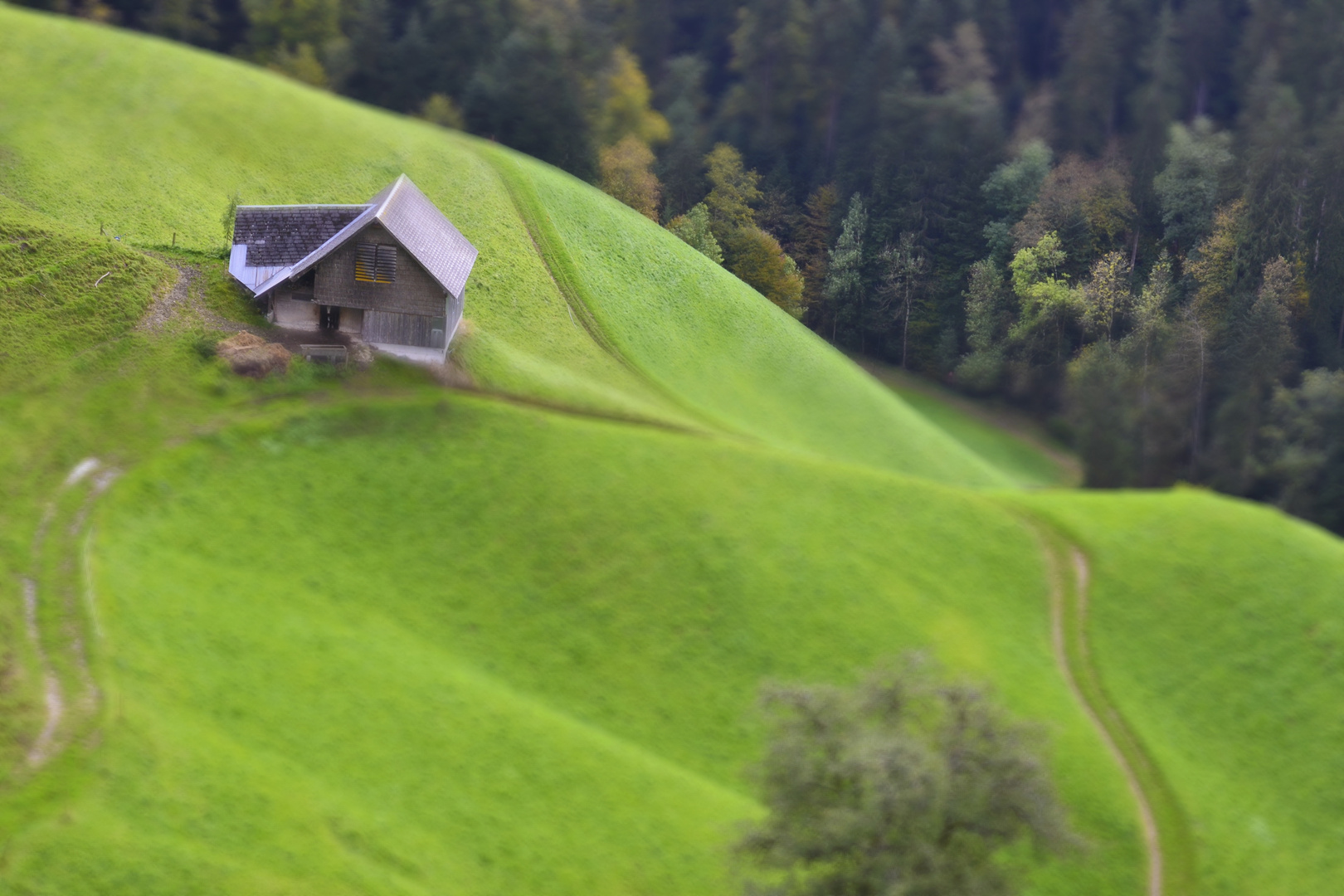 Lüderen Alp, Schweiz