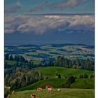 Lüdernalp, Richtung Jura