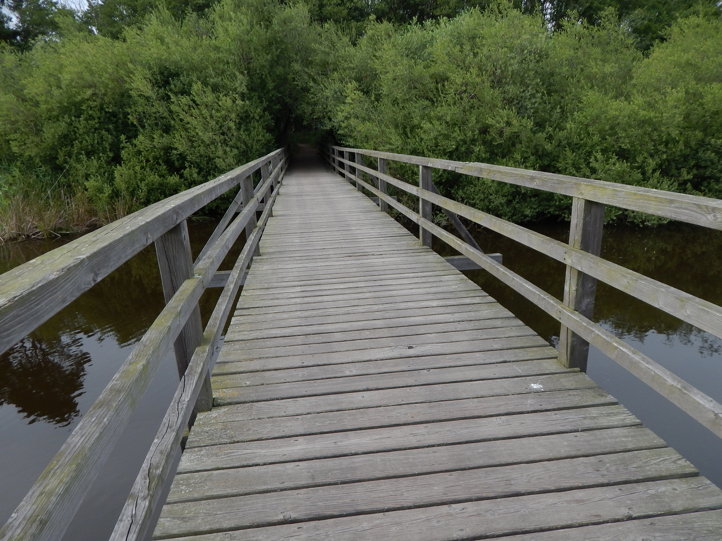 Lügenbrücke