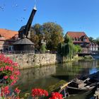 Lüneburg