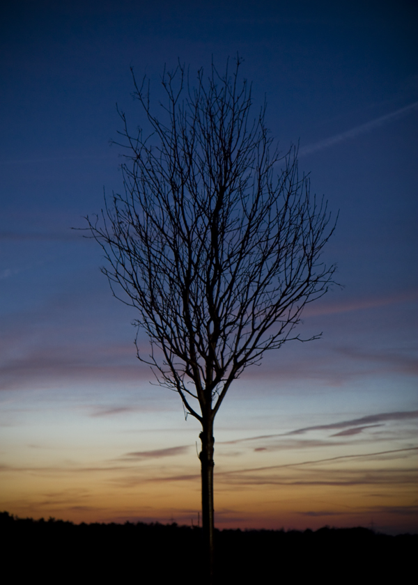 Lüneburg bei Nacht