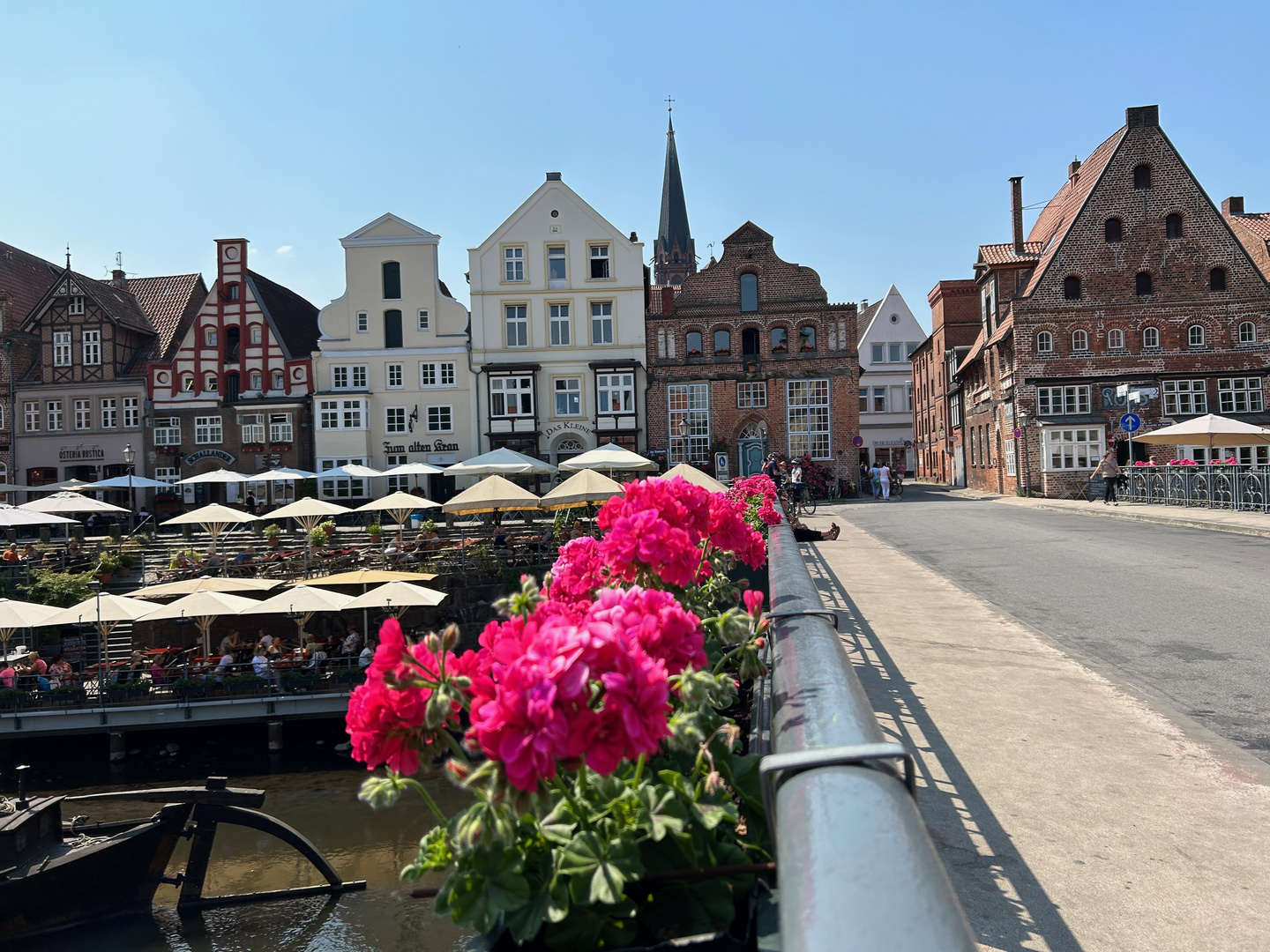 Lüneburg Blüte auf der Lünertortraßenbrücke