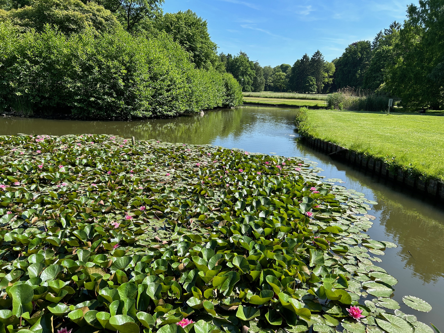 Lüneburg Ententeich im Kurpark