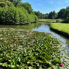 Lüneburg Ententeich im Kurpark