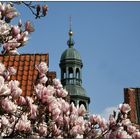 Lüneburg im Frühjahr !!