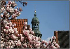 Lüneburg im Frühjahr !!