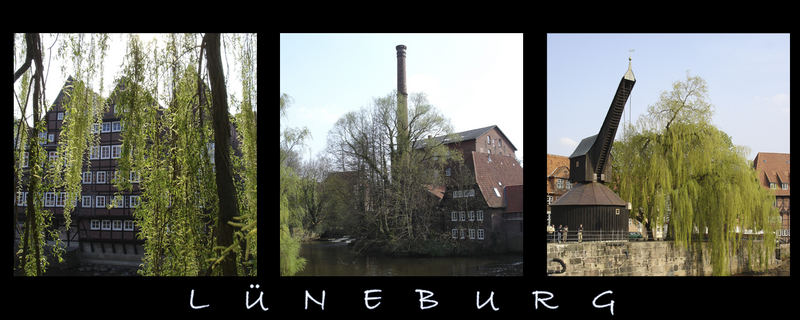 Lüneburg Stintmarkt