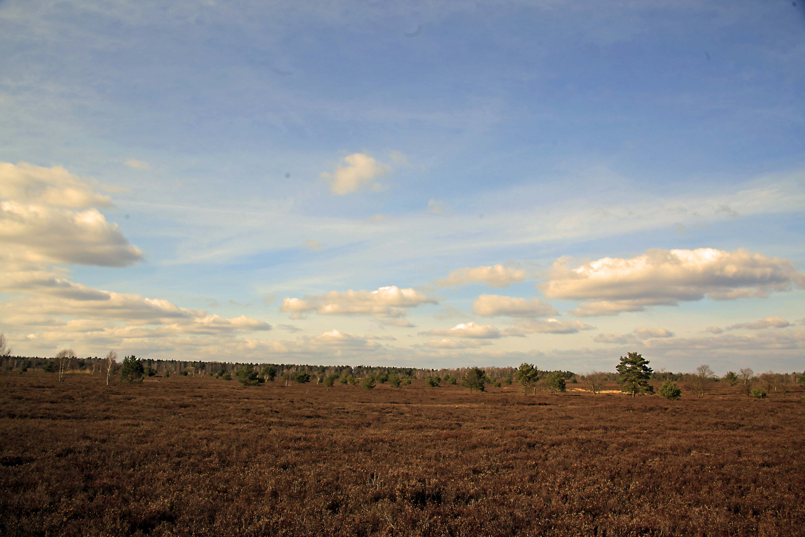  Lüneburg und der Heide 