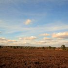  Lüneburg und der Heide 