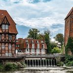 Lüneburg XXIII