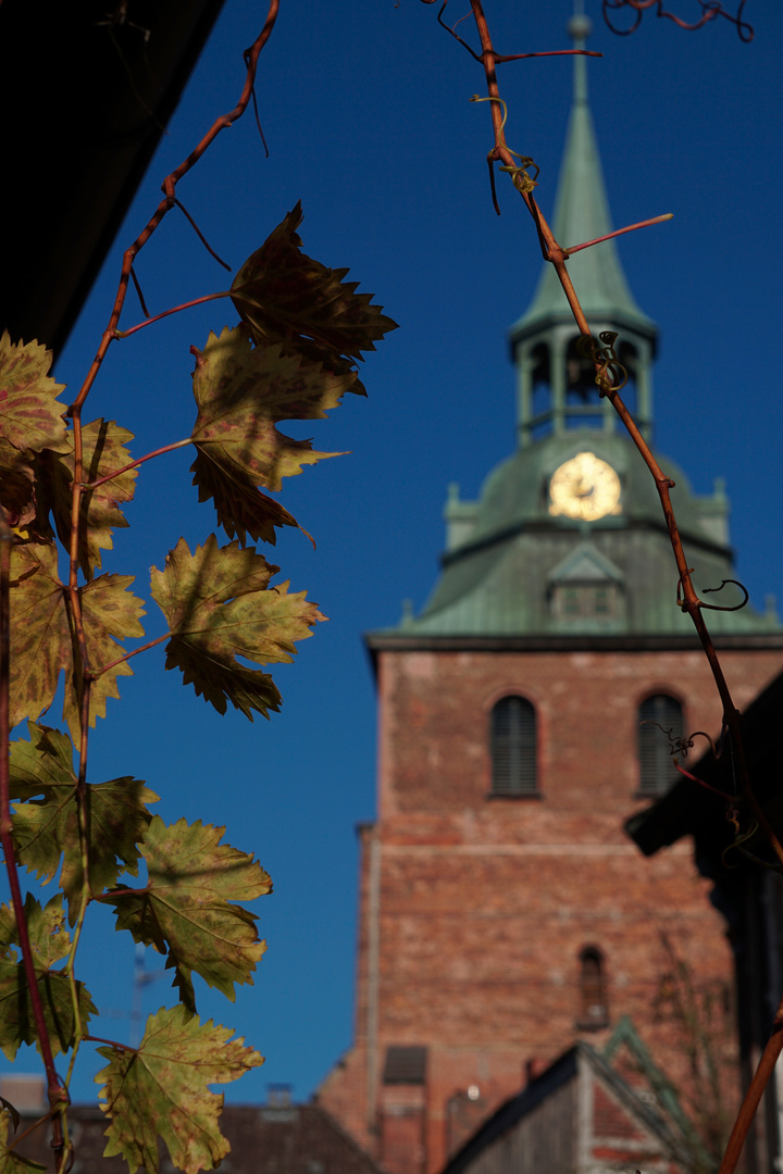 Lüneburger Altstadt St. Michaelis