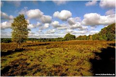 Lüneburger Heide