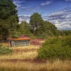 Lüneburger Heide